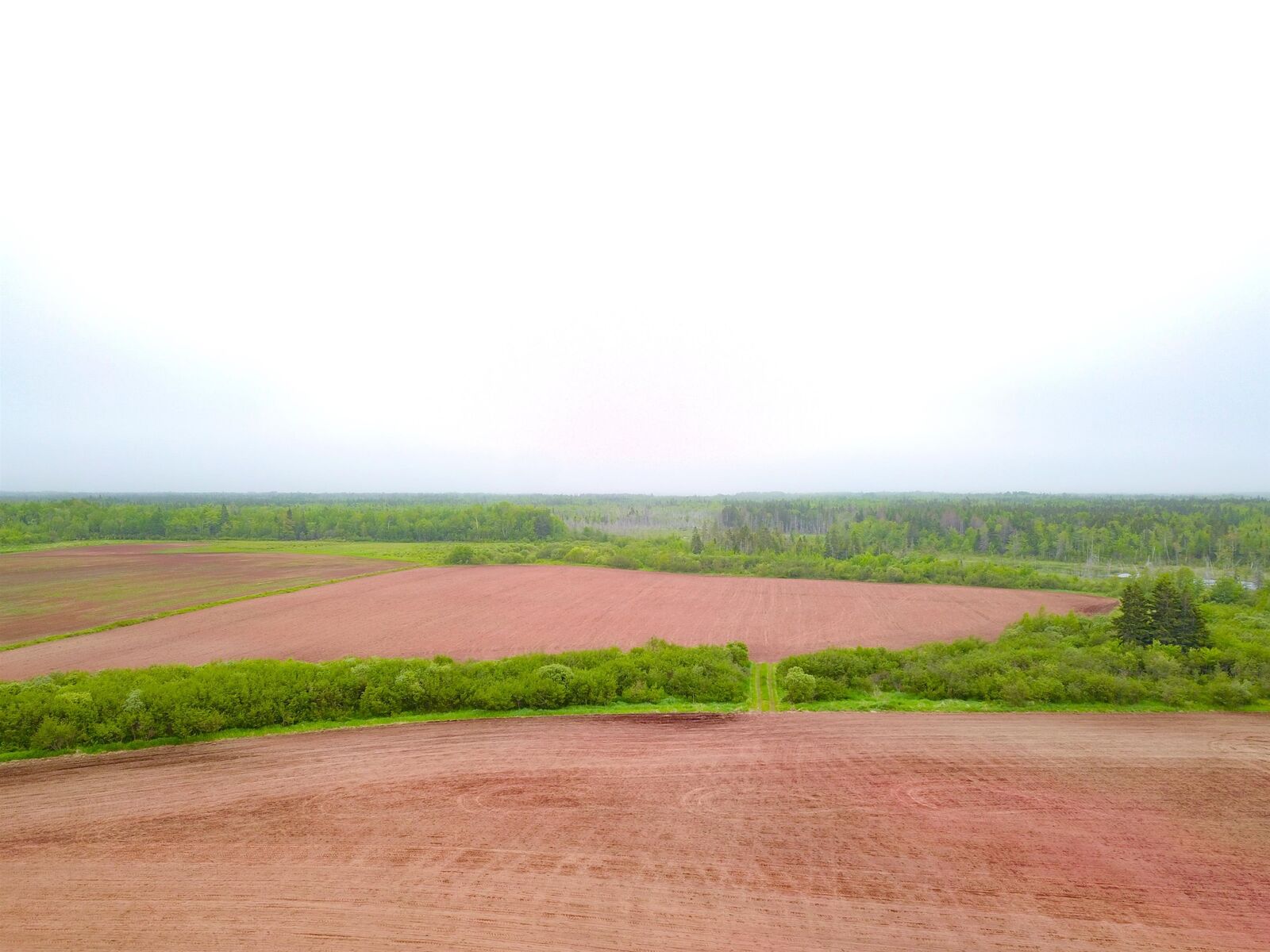 Property Photo:  McNeils Mills Road  PE C0B 1J0 
