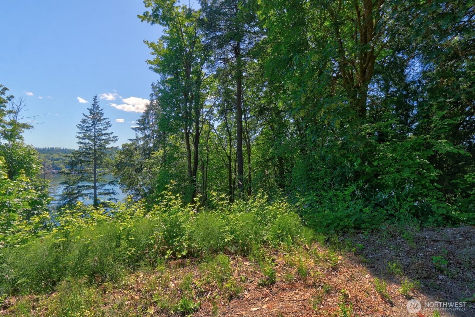 Property Photo: 300 E Bridger Lane WA 98584