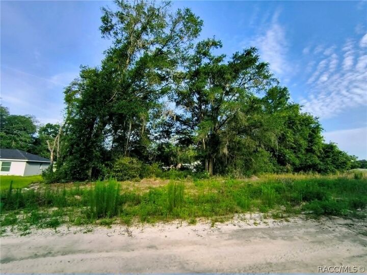 Property Photo:  48 N Buchannon Terrace  FL 34453 