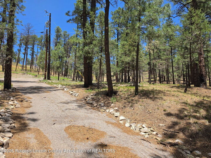 Property Photo:  209 Lake Shore Drive (Lot 4)  NM 88312 