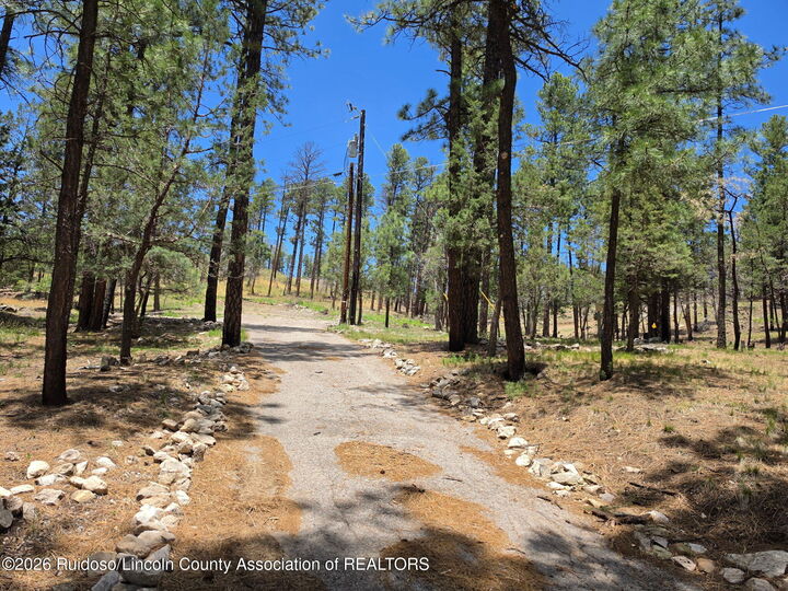 Property Photo:  209 Lake Shore Drive (Lot 4)  NM 88312 
