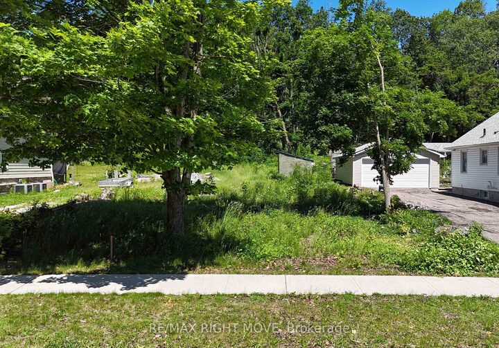 Property Photo:  256 Harvey Street  ON L3V 3M4 