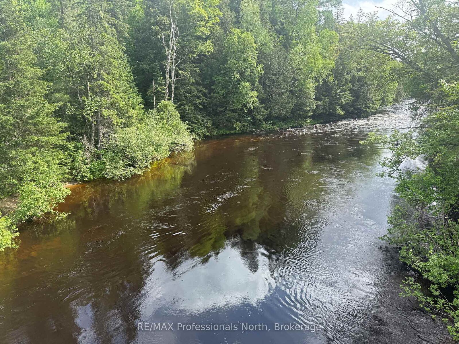 Property Photo:  1313 Williamsport Road N  ON P1H 2J4 