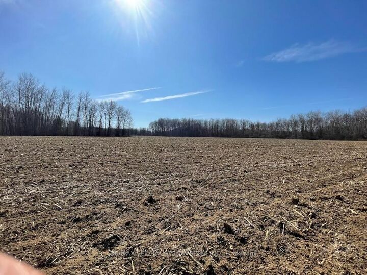 Property Photo:  4412 124 County Road  ON L9Y 3Z1 