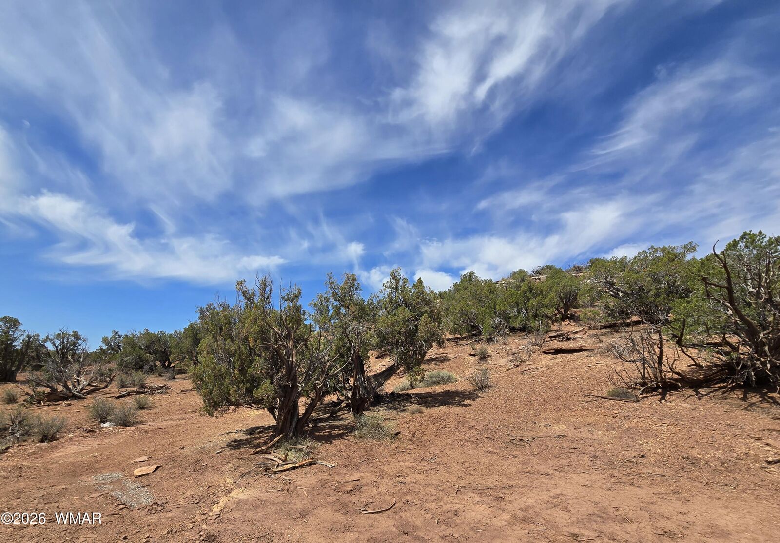 Property Photo:  9255 Tonto Road  AZ 85937 