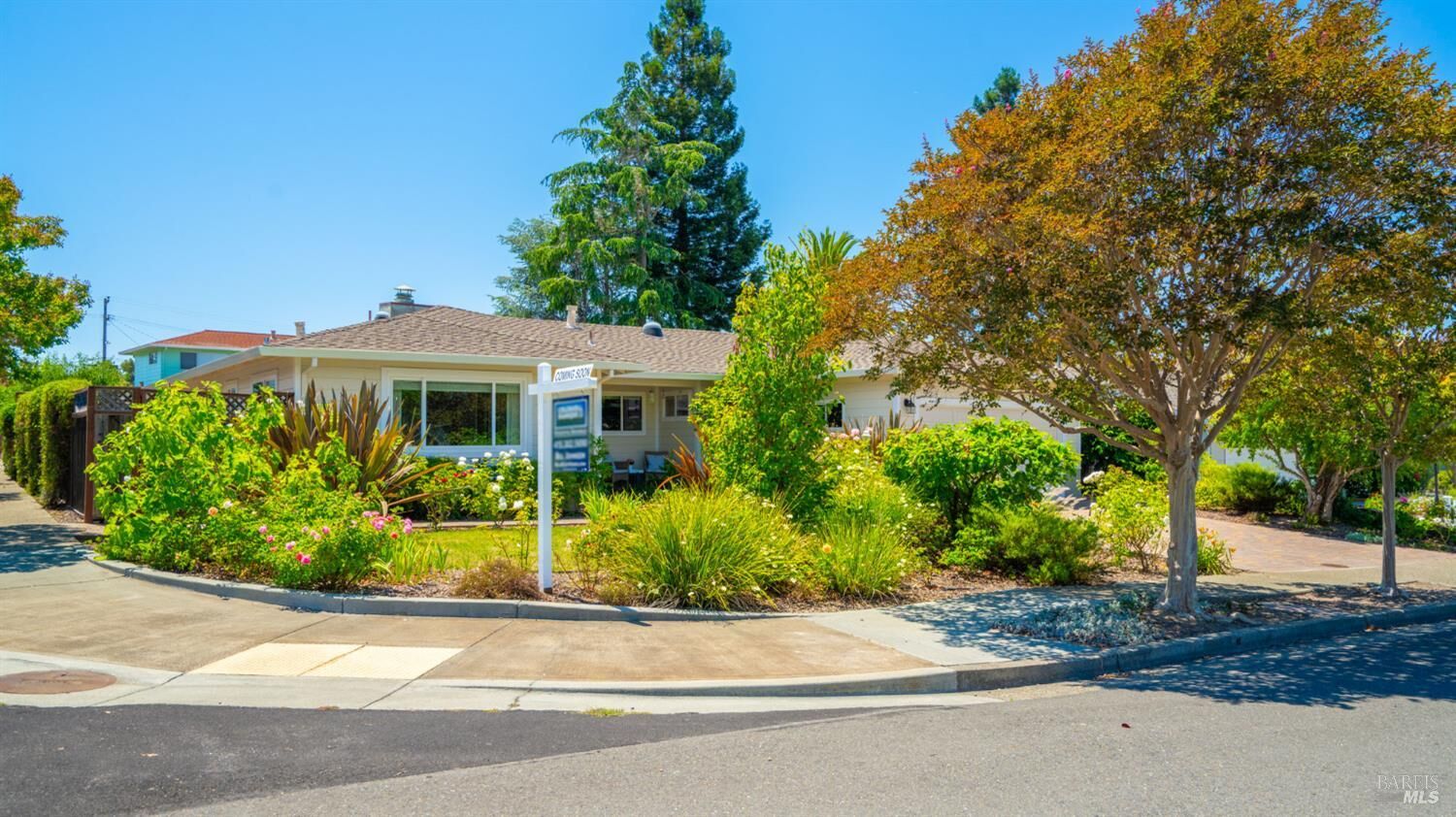 Property Photo:  101 Meriam Drive  CA 94903 