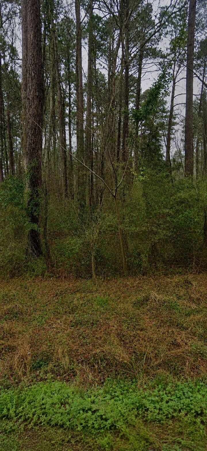 Property Photo: Tbd Sing Ave. SC 29527