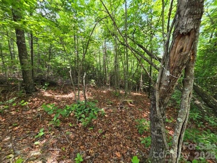 Property Photo:  169 Fairfield Lane  NC 28752 