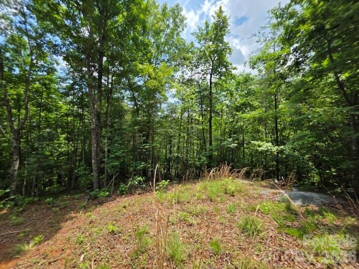 Property Photo: 169 Fairfield Lane NC 28752