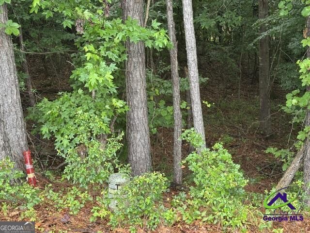 Property Photo:  172 Waters Pointe  GA 31052 