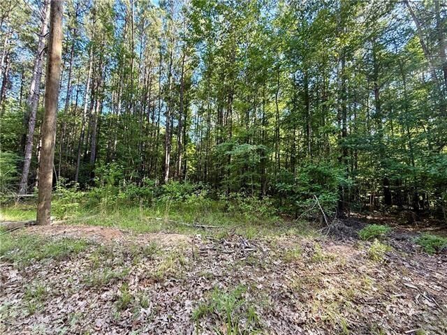 Property Photo:  0 Hwy 771 Highway  LA 71465 