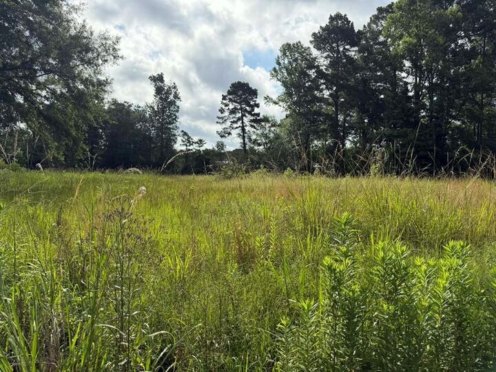 Property Photo:  194 Lindsley Ln  TX 75949 