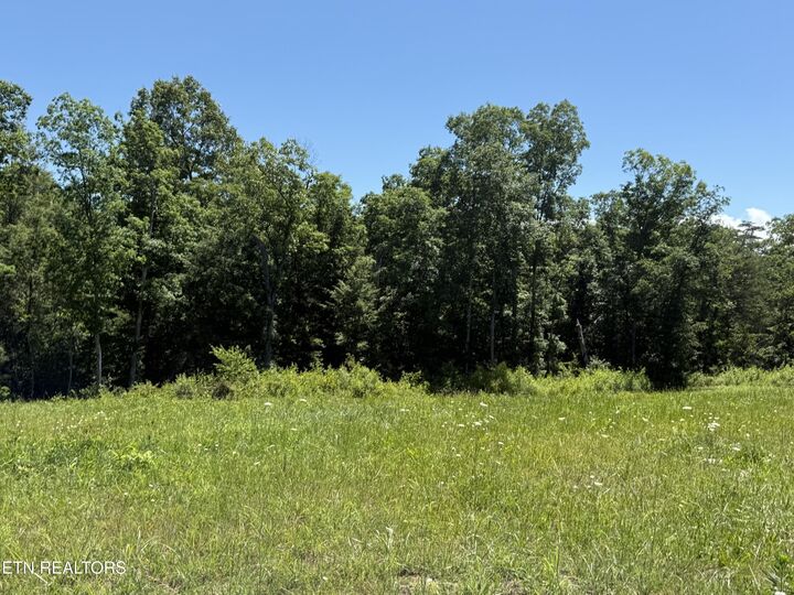 Property Photo:  Riverview Drive - Lot 1 & 2  TN 38555 