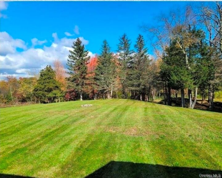 Property Photo: 2115 Route 55 1 NY 12540