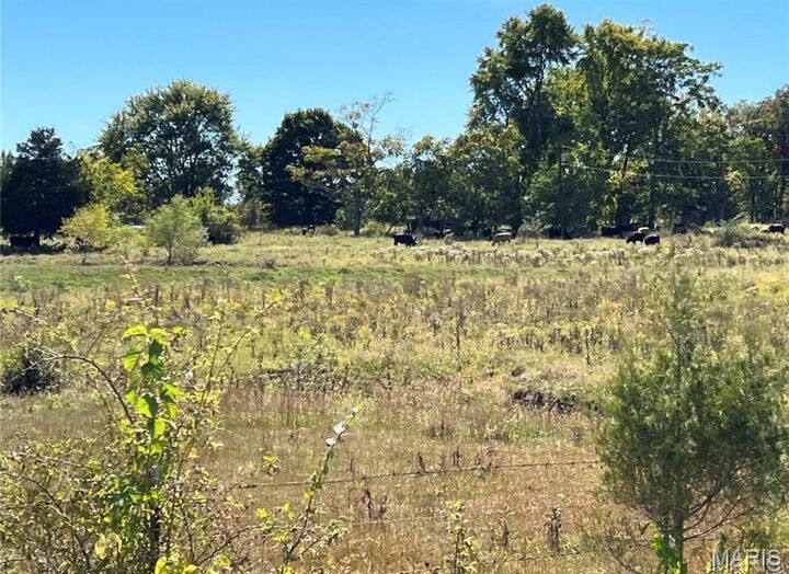 Property Photo:  1 Hunt Road  MO 63640 