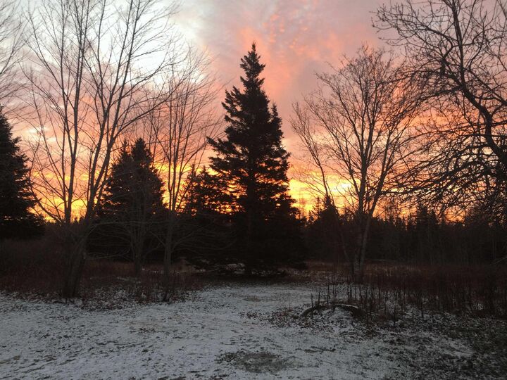 Property Photo:  Point Pleasant  PE C0A 1W0 