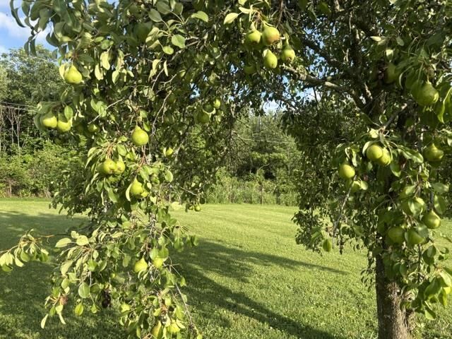 Property Photo: 2390B Old Munfordville Road KY 42141