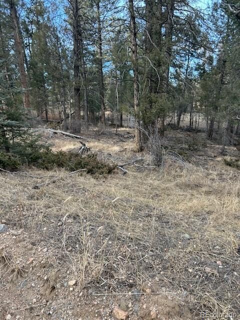 Property Photo:  260 Ranch Resorts Drive  CO 80816 