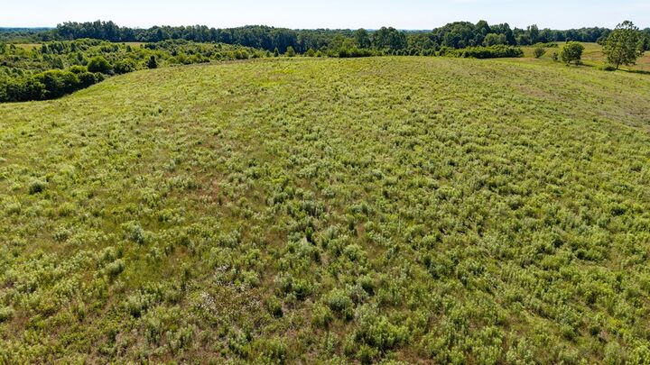 Property Photo:  37988 Buck Run Rd.  OH 45710 