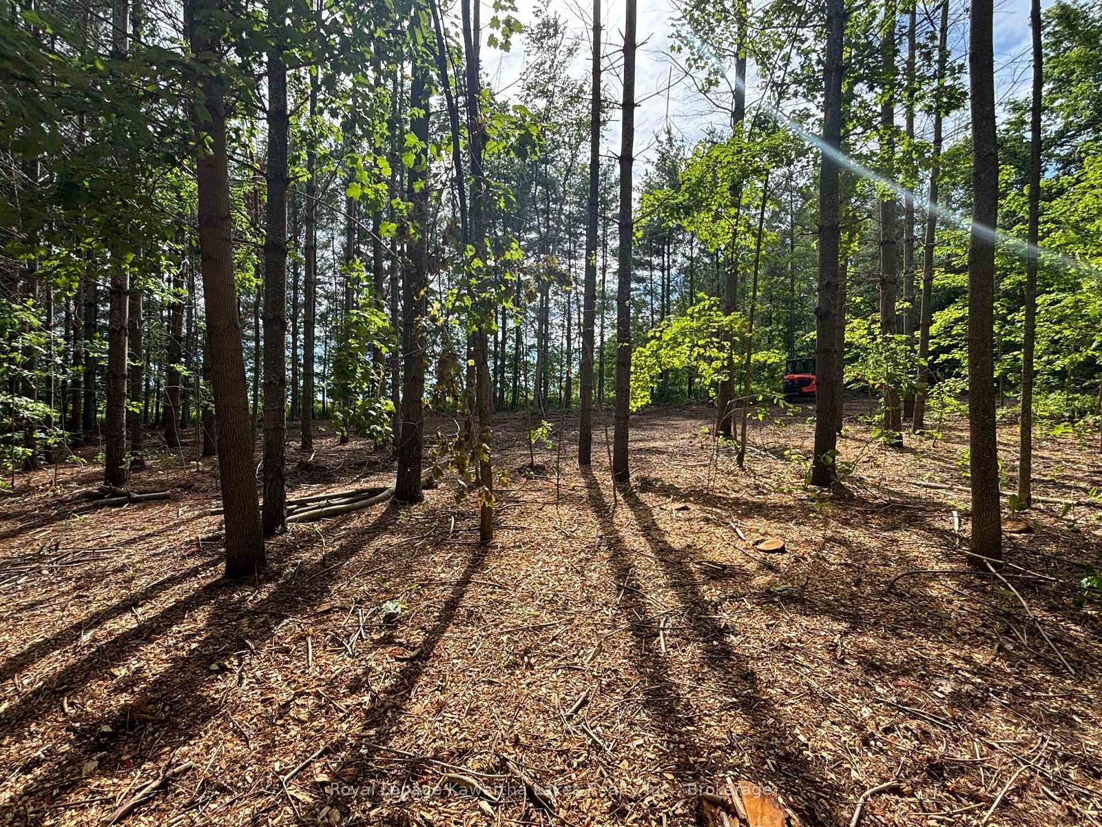 Property Photo:  Pt Lt 11 Con 7 Ranchers Road  ON K0M 1G0 