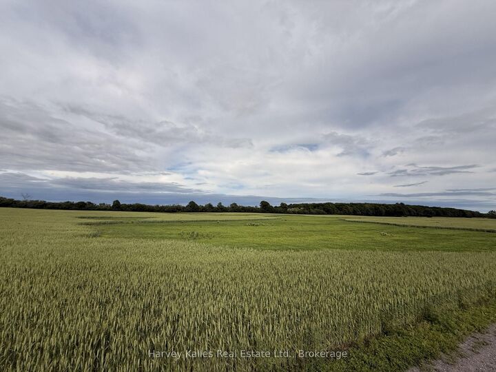Property Photo: Beside 243 Morgan Road ON K0K 1G0