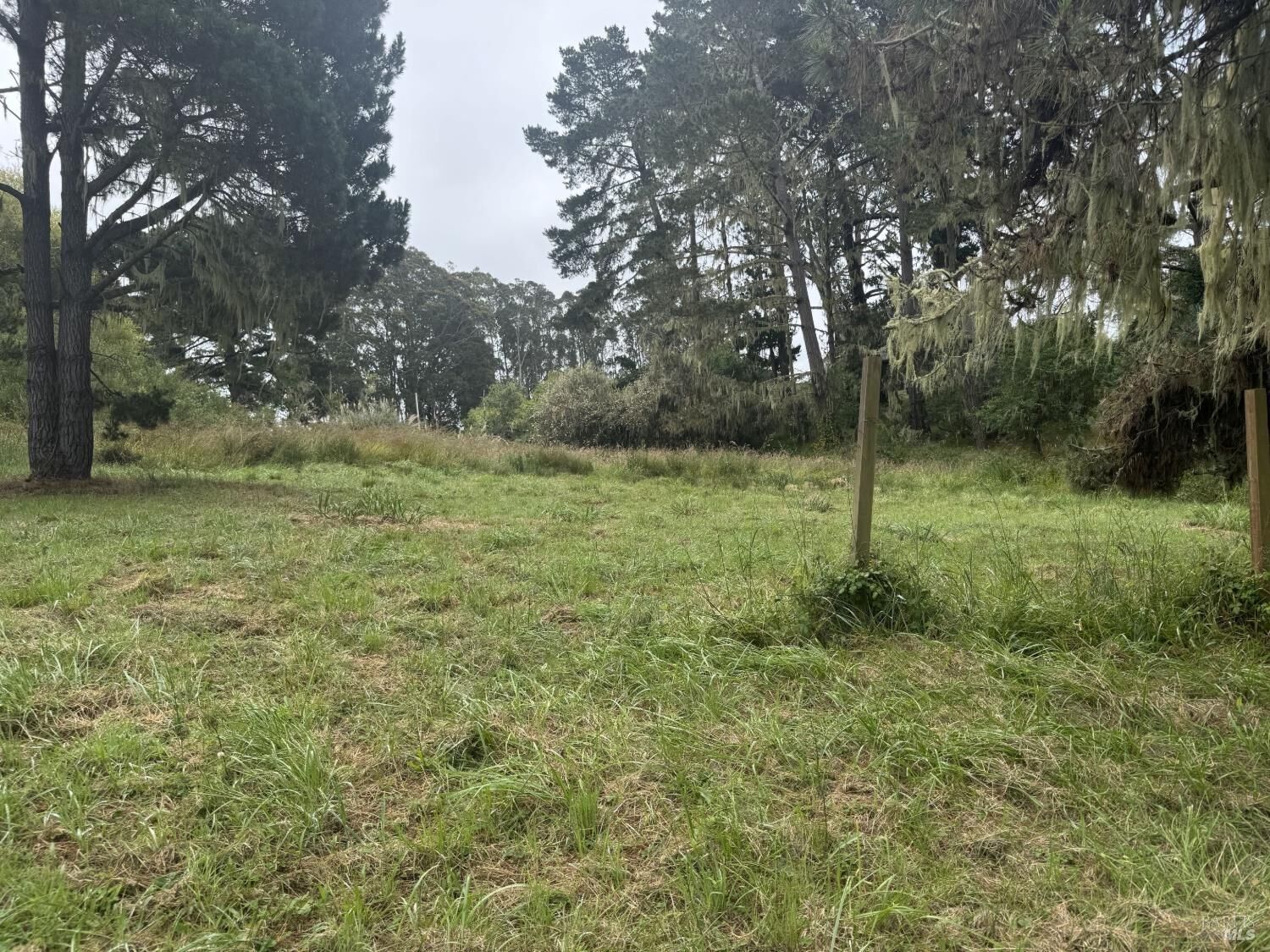 Property Photo:  241 Alder Road  CA 94924 