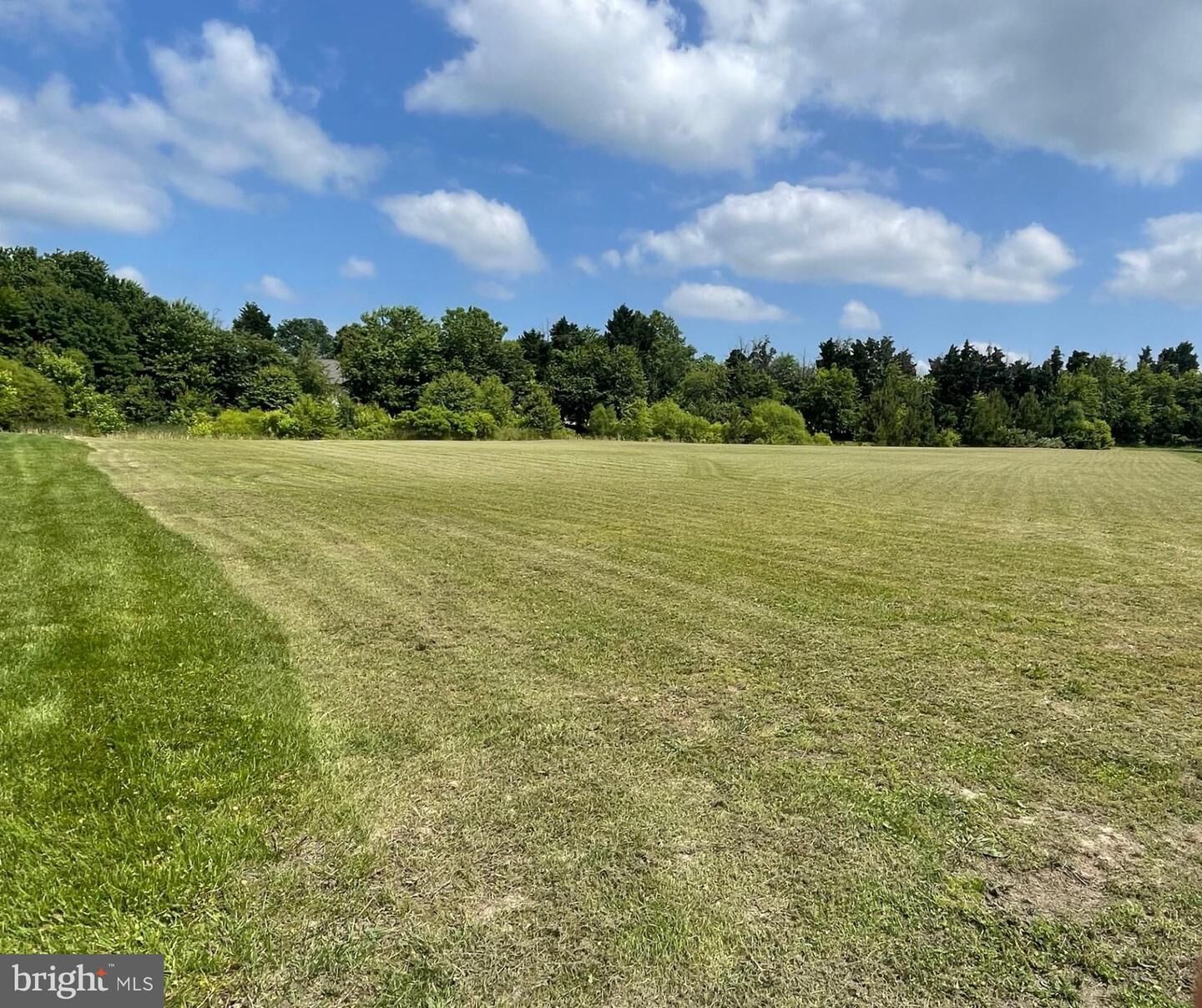 Property Photo: 0 Earldom Lane MD 21801