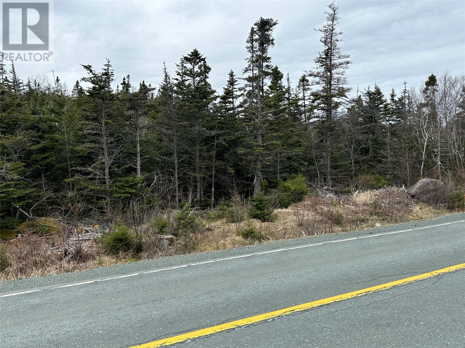 Property Photo:  108 Liam Hickey Drive  NL A0A 2R0 