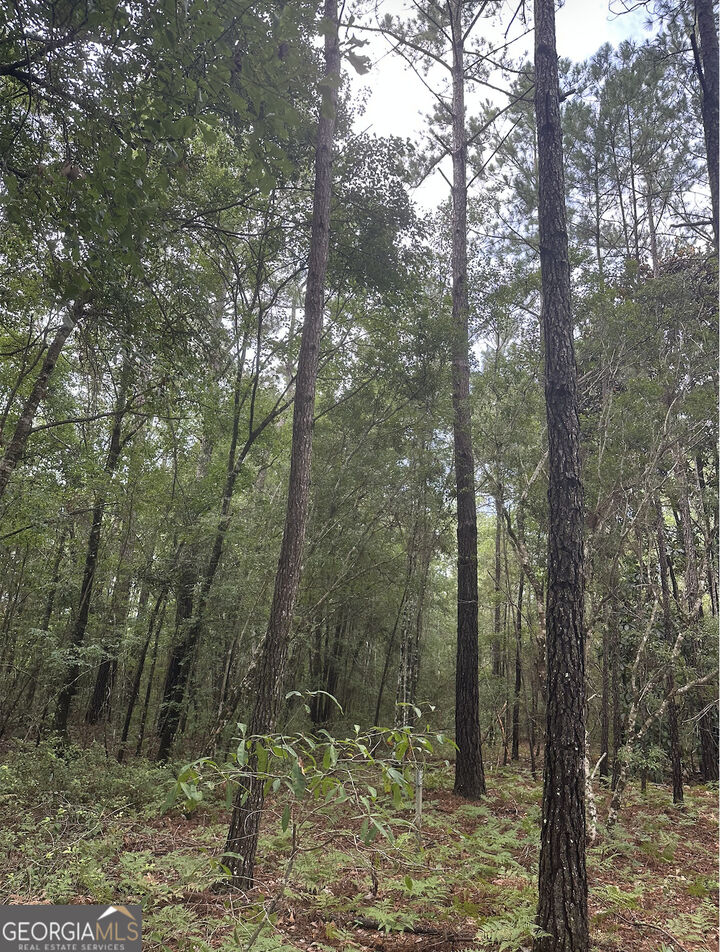 Property Photo:  V/L 1 Aberdeen Drive  GA 31565 