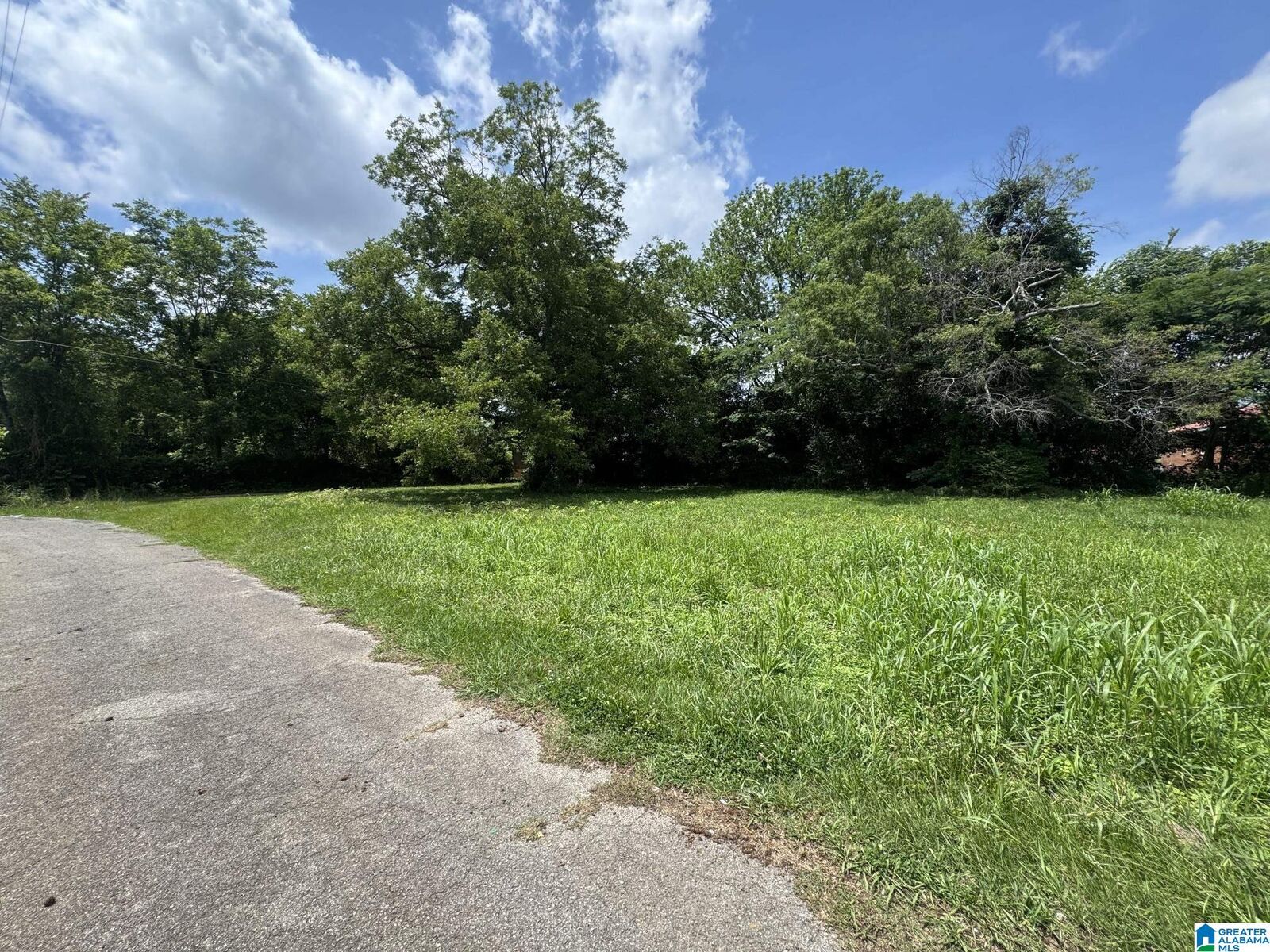 Property Photo: 408 S Christine Avenue 0 AL 36207