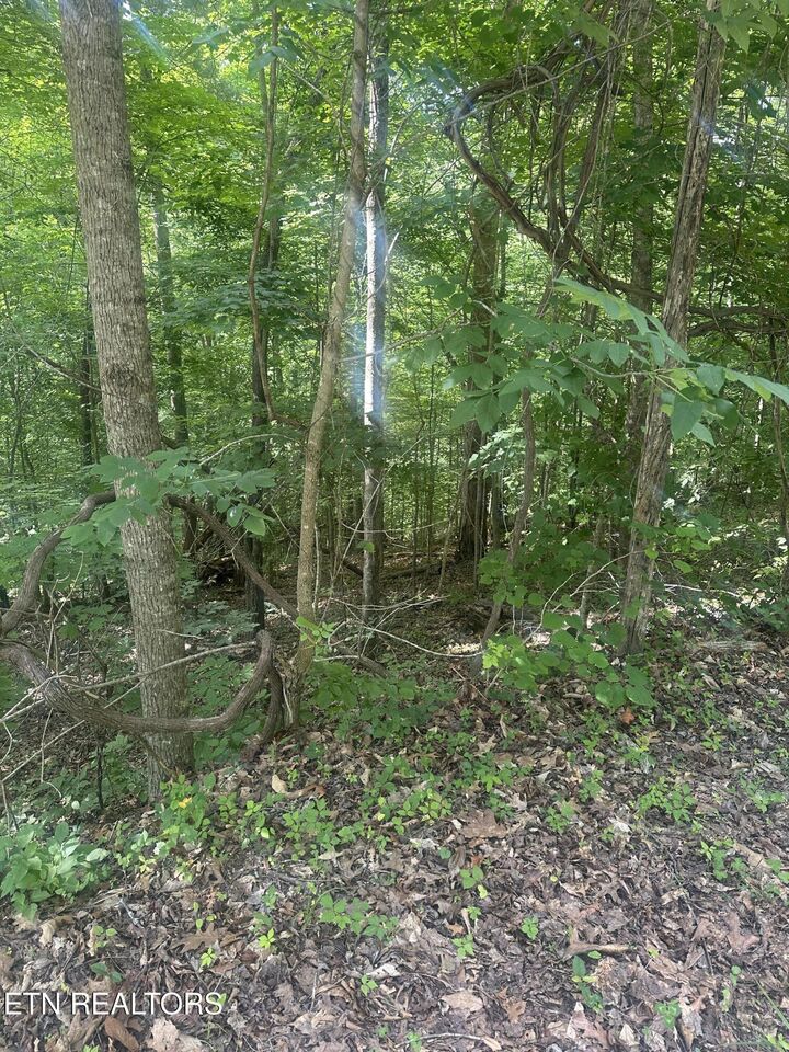 Property Photo: Hiwassee View - Lot 56 Drive TN 37757