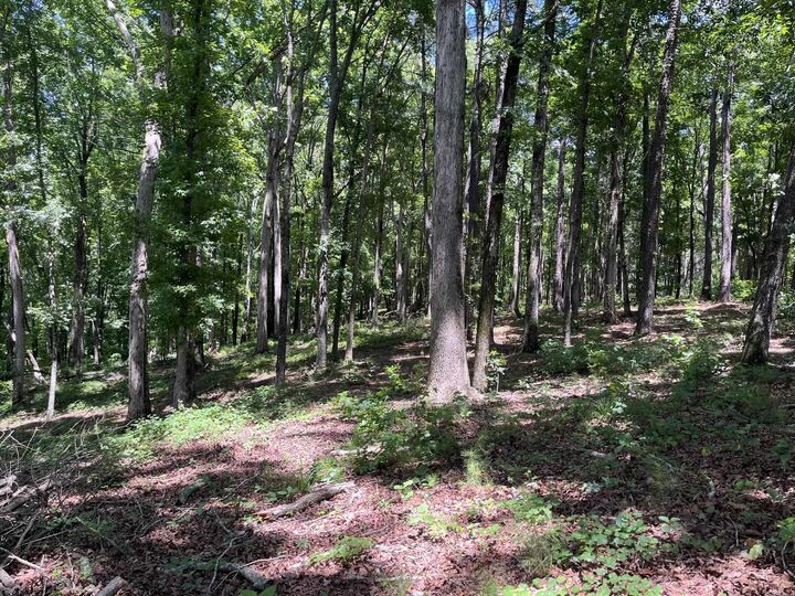 Property Photo:  Lots 1 &Amp 2 Pullman Lane  GA 30642 