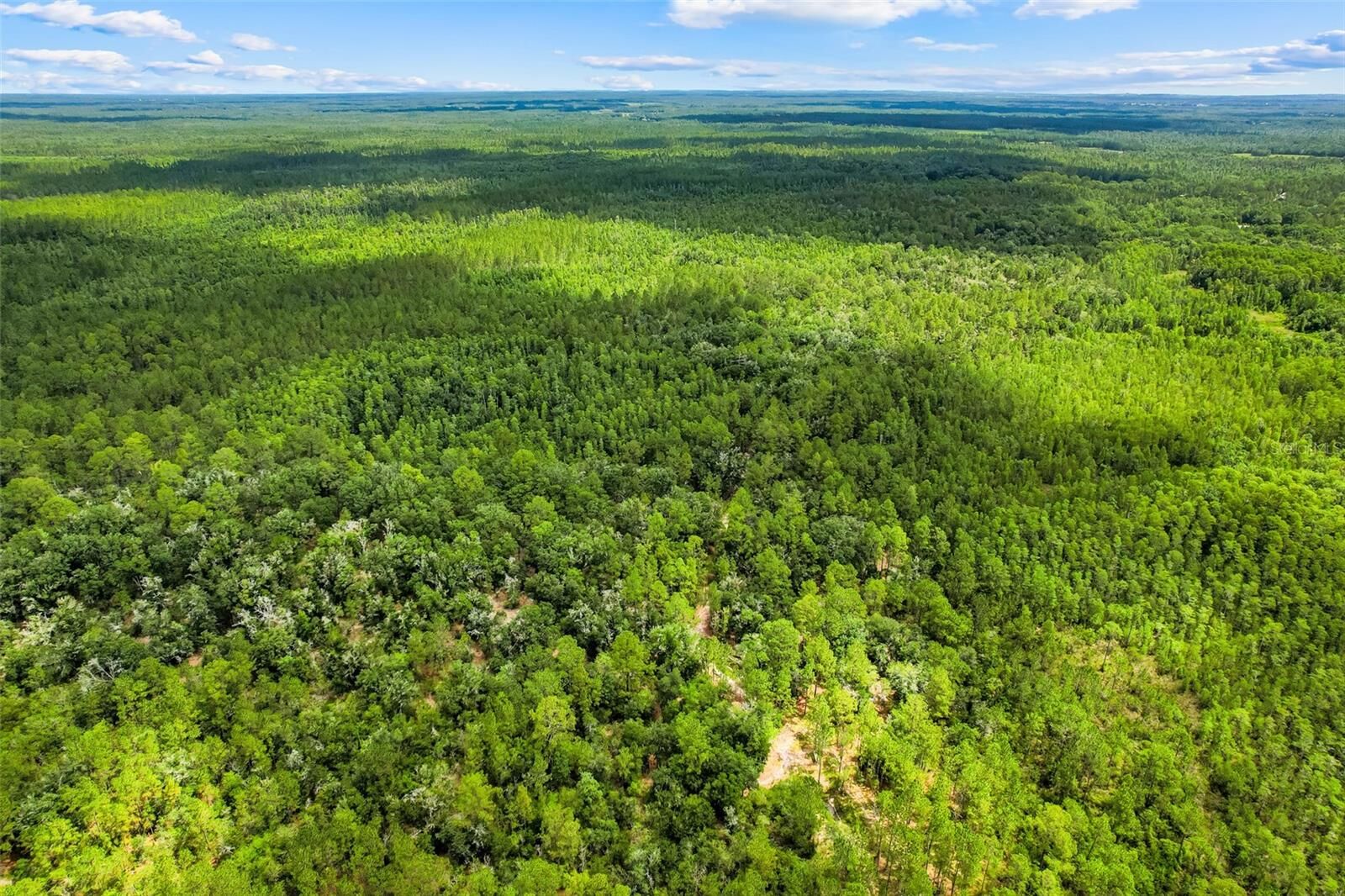 Property Photo: Water Road FL 34711
