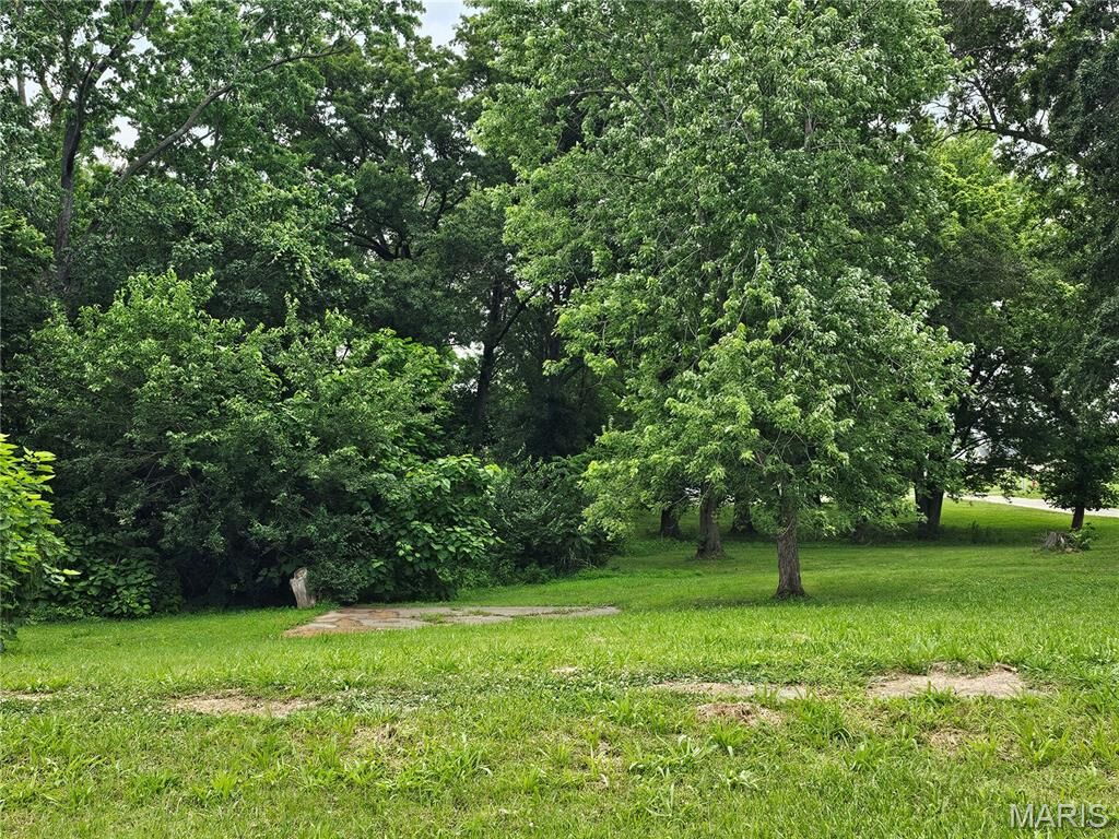 Property Photo: 1031 E Seward Street IL 62049