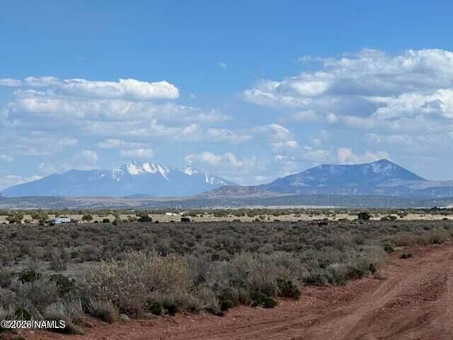 Property Photo:  633 S Wyandotte Road  AZ 86046 