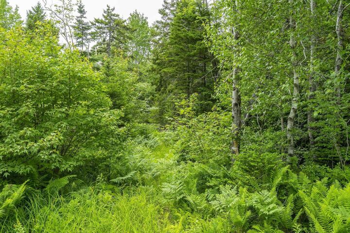 Property Photo:  Lot 6 Old Yarmouth Road  NS B0W 3T0 