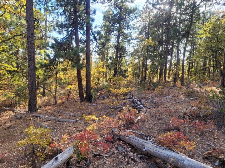 Property Photo: 605 Pine Creek Rd WA 99322