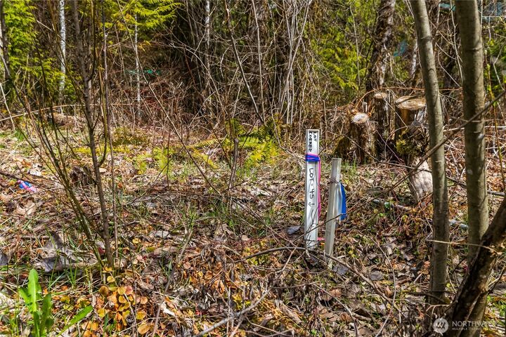 Property Photo:  17045  Iceberg Road  WA 98244 
