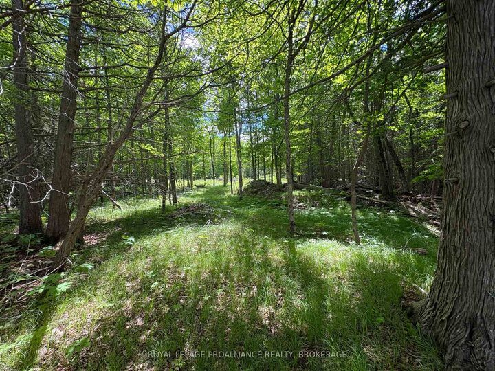 Property Photo:  2220 Silver Rock Lane  ON K0H 1W0 