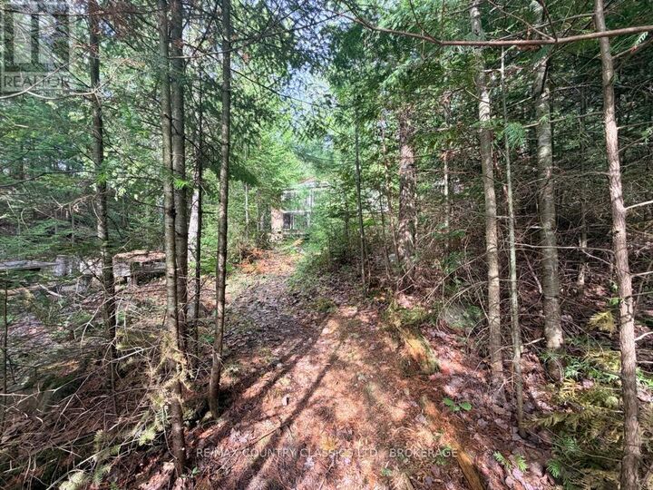 Property Photo:  860 Mazinaw Lake  ON K0H 1K0 