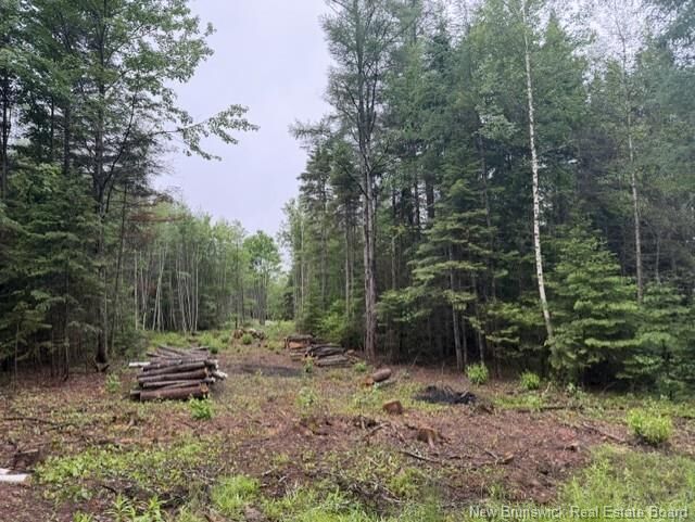 Property Photo:  Lot 3 W P Black Lane  NB E4Z 5X5 