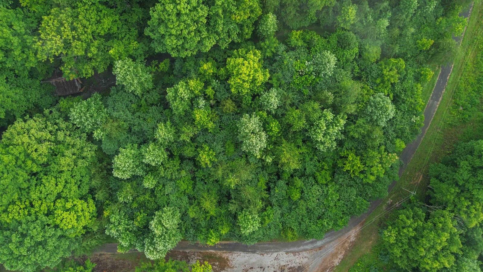 Property Photo:  911 Bradley Road  KY 42602 