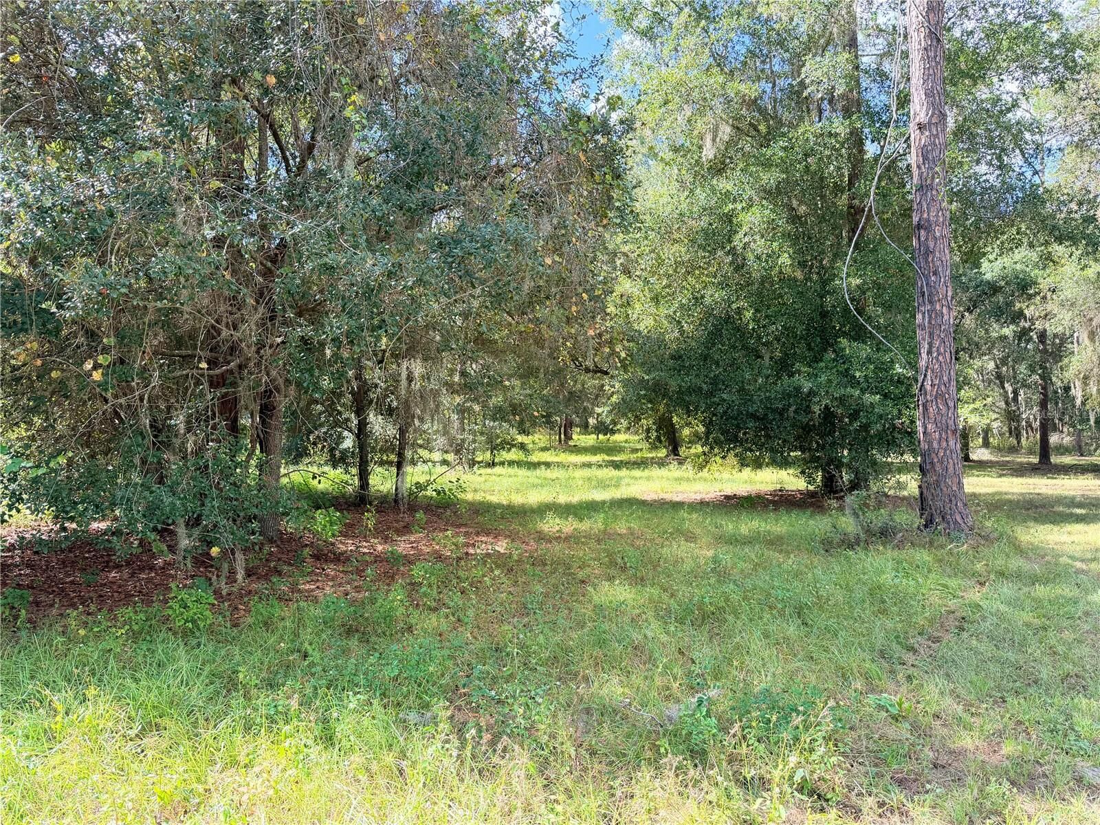 Property Photo: Bonsmara Drive FL 34736