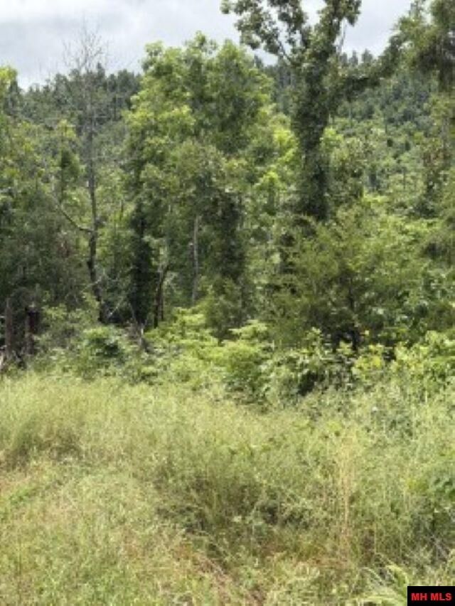 Property Photo:  Lot 7 Cr 868  AR 72544 
