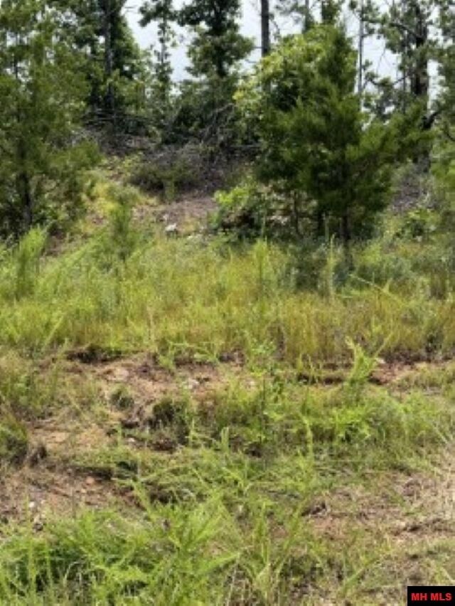 Property Photo:  Lot 23 Cr 868  AR 72544 
