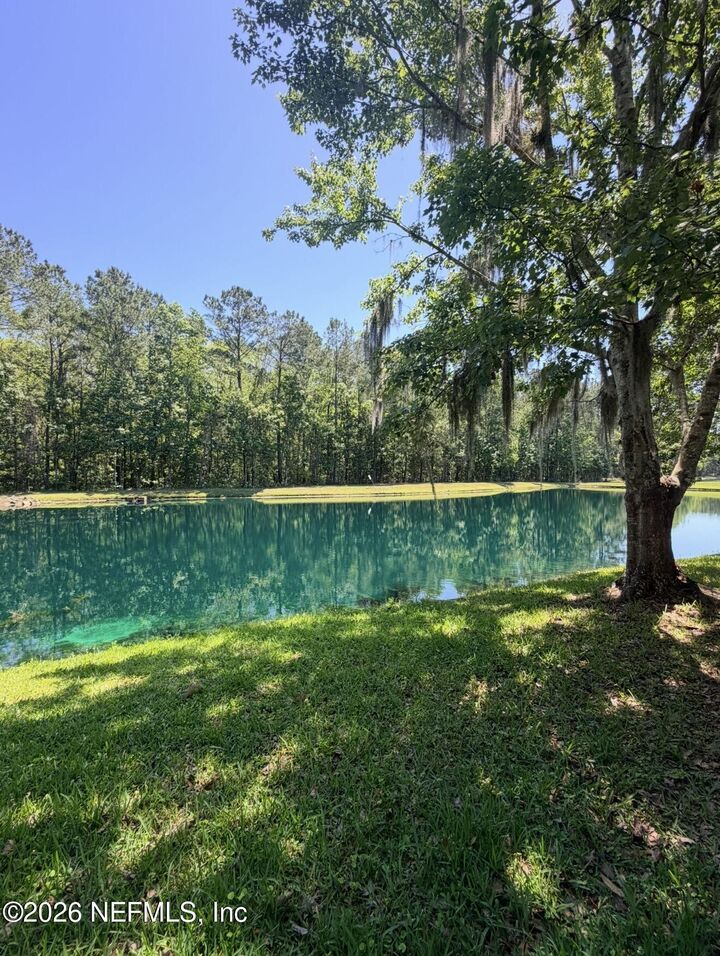 Property Photo: 145 Dover Bluff Drive FL 32073