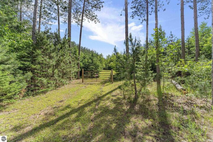 Property Photo: 8767 Rustic Lane MI 49633