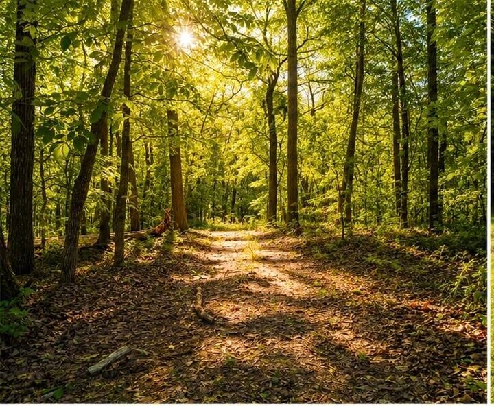 Property Photo: 1029 Bear Hollow Road MO 64856