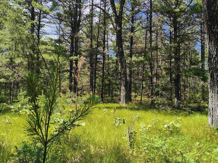 Property Photo: 5.6 Acres 16th Avenue WI 54613