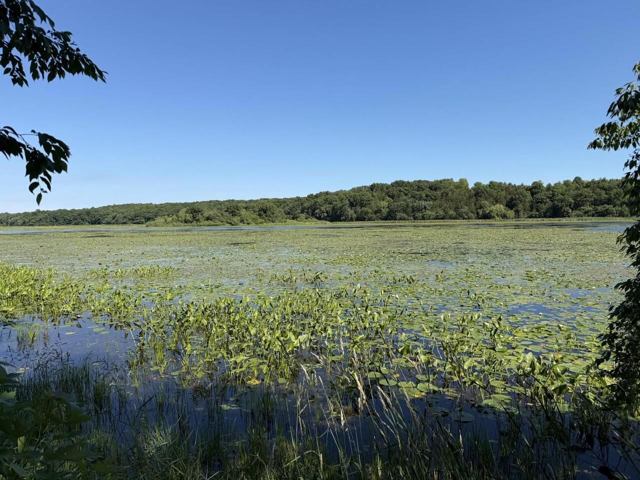 Property Photo:  Lots 47-50 W Lakeshore Drive  WI 53121 